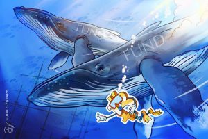 1200 aHR0cHM6Ly9zMy5jb2ludGVsZWdyYXBoLmNvbS91cGxvYWRzLzIwMjEtMTEvMDdkOGM4NWQtMDdlYS00OWMxLWJkODItYmVmNzIzMzQ3NGJiLmpwZw