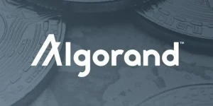 Algorand 1200x600 1