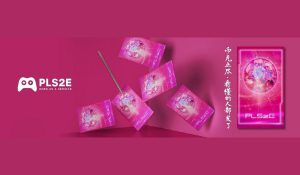 Announcing the Launch of the PLS2E.io . GameFi is all the rage