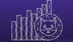 As Investors Scoop Billions Of Shiba Inu Kucoin CEO Reveals Why Hes Holding SHIB For The Long Term