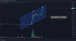 Ascending 1 1024x558 1