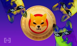 BIC shiba coin