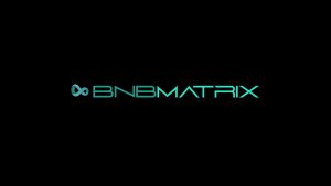 BNBMAtrix IMG