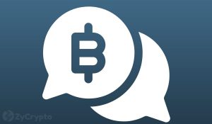 Bidens Adviser Barred From Airing His Views On Bitcoin Because Of His Large BTC Holdings