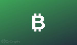 Bitcoin Bull Says those Waiting to buy the dip Will Fuel the 50k to 100k Pump