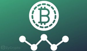 Bitcoin Price Shatters A New All Time High Above 66000 In Record Breaking Day