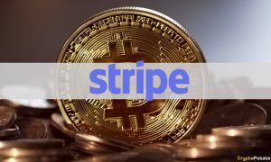 Bitcoin Stripe