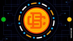 Blockchain Boys Club Launching an NFT Project Serving Crypto Community