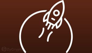 Bloombergs Strategist Explains Why Shiba Inus Short Lived Success Will Elevate Bitcoins Significance