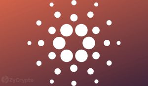 Charles Hoskinson Clarifies Cardanos Security Status As ADA Takes Hit From eToros Delisting