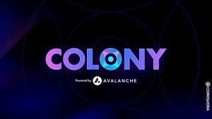 Colony Network Lab