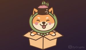 Cryptic Tech E Tailer Giant Newegg Tweet Sparks Rumors Of Imminent Shiba Inu Integration