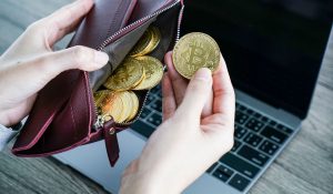 Crypto Wallets for Your Assets Rabby Nexo Card and NOW Wallet