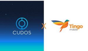 Cudos Partners With Tingo Mobile To Better Financial Inclusivity In Africa