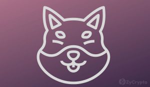 Dogecoin Founder Billy Markus Tells Us Why He Loathes Shiba Inu