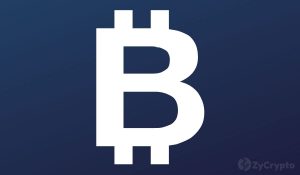 Edward Snowden Reveals 2013 NSA Leak Was Facilitated Using Bitcoin