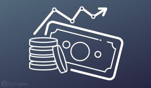 El Salvador To Use Stunning Bitcoin Profits For Pet Hospital Construction Program Reveals President Bukele