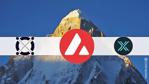 Elrond Avalanche Immutable