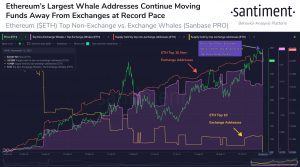 Ethereum Whale Addresses