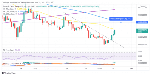 FLOKIUSDT 2021 11 29 10 21 10