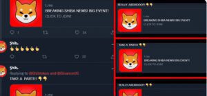 FireShot Capture 245 1 Shib on Twitter Stay Alert amp Safe ShibArmy Weve been mad twitter.com