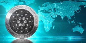 Immersion Imagery Cardano 1 1200x600 1