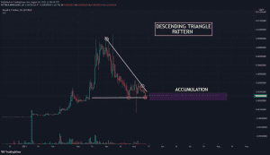 NPXDS USDT chart showing Descending Triangle pattern 1024x589 1
