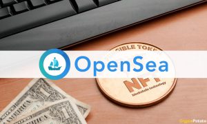 OpenSeaNFT