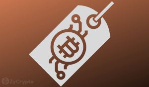 Poll Suggests Bitcoin Price Is Currently Too Low Heres What That Means