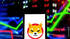 SHIB Ranks at Top 11