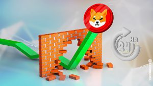 SHIB Trading Volume Spikes to 5.6 Billion in the Last 24 Hours