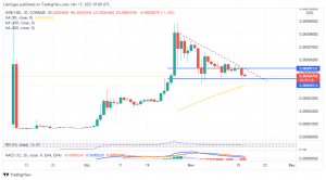 SHIBUSD 2021 11 17 10 00 34