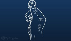 Shiba Inu Caught The Attention Of Billionaire Jack Dorsey But Not Enough To Make Him A SHIB HODLer