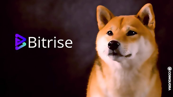 Shiba Inu Community