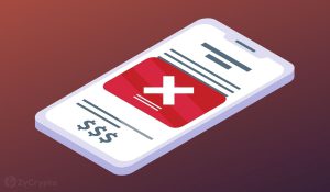 Shiba Inu Inspired Project Exits With 60 Million In Latest DeFi Rug Pull