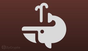 Unfazed By Shiba Inus Dip Crypto Whales Are Loading Up Billions Of SHIB Tokens — But Why