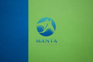 Untitled design 2021 11 16T160853559 1637071747jHhLzhGlvj 768x512 1