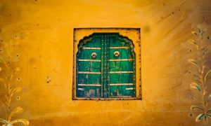 abhinav srivastava Z5P82kii8 s unsplash 1000x600 1