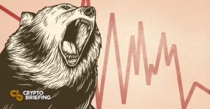 bear cover 768x403 1