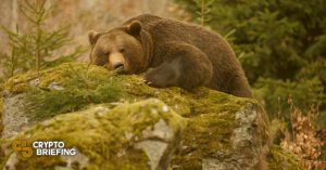 bitcoin ethereum face dip cover 768x403 1