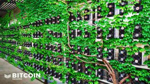 bitcoin green mining