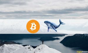 btc whale cover