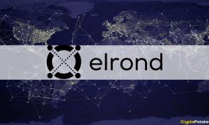 elrond cover