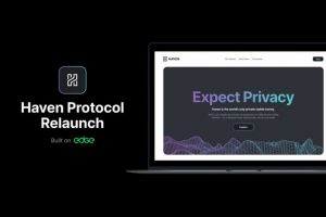 haven protocol partners edge network web3 relaunch 768x512 1