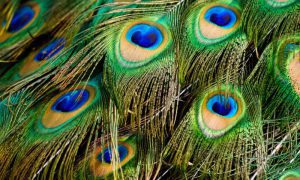 jorge salvador jI dTzClP0Q unsplash 2 1000x600 1