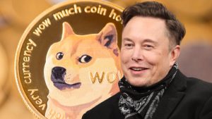 musk doge binance