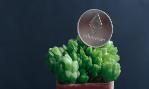 old money mMh EBxk0cw unsplash 2 1000x600 1