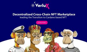 photo 2021 11 18 14.52.19 1000x600 1