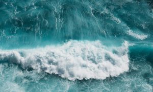 polina kuzovkova uf2JJNgYp4A unsplash 2 1000x600 1