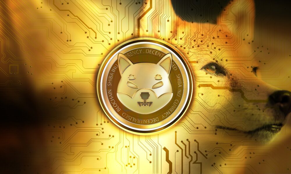 shiba 6763358 1280 1000x600 1